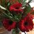 Elizabeth Harris's profile image