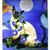 Judy Riggle's profile image