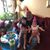 Roseann Siclari Buzzetta's profile image