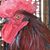 George Spader's profile image
