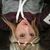 Courtney Jean Oglesby's profile image