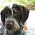 Margaret Langendorfer's profile image