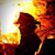 Seth Morris's profile image