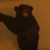 Ricky Carawan's profile image