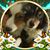 Debi Kunzelman's profile image