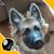 Kat Reynolds's profile image