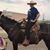 Jeff Swanson's profile image