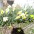 Sandy Carroz's profile image