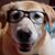 Keri Eiding's profile image