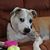 Vicki Delien's profile image