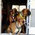 Paulette Brasil's profile image