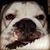 Carole Ann's profile image