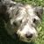 Linda Jacobs's profile image