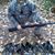 Joey Bohannon's profile image