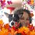 Jacqueline Gonzalez's profile image