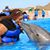 Michele Byrd's profile image