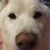 Jennifer Higby Wieber's profile image