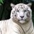 Maribel Orille's profile image
