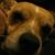 Tammy Stratton's profile image