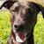 Dawn Marria's profile image