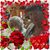 Mirta Montenegro's profile image