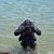 Peter Riboni's profile image
