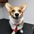 Janette Davis Brown's profile image