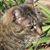 Judi Raburn's profile image