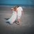 Christine Weiser's profile image