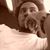 Amir LLoyd's profile image
