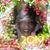 Rhonda Bush's profile image