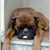 Ken Dillman's profile image