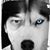 Brian R. Steinruck's profile image
