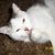 Judy Lindquist's profile image