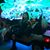Laura Maria Zembrodt's profile image