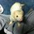 Allen Lape's profile image