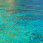 Mike B.'s profile image