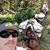 Jamie Olson's profile image
