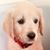 Lisa Salt's profile image