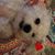 Susan Svoboda Merrill's profile image