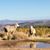 Sandra Lowe-Bartts's profile image