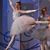 Amber Hart Dansby's profile image