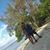 Maria Paola's profile image