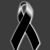 Selene Legarda's profile image