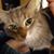 Amber Loehlein's profile image