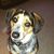 Hallie Fetchko's profile image