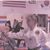 Linda Campanella-Stilinovich's profile image