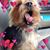 Charise Bos's profile image