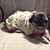 Tracy Sutton's profile image