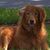 Horst Proebstl's profile image
